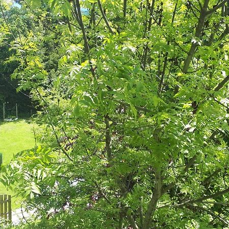 Apartment Orlitsch Klagenfurt am Woerthersee Luaran gambar